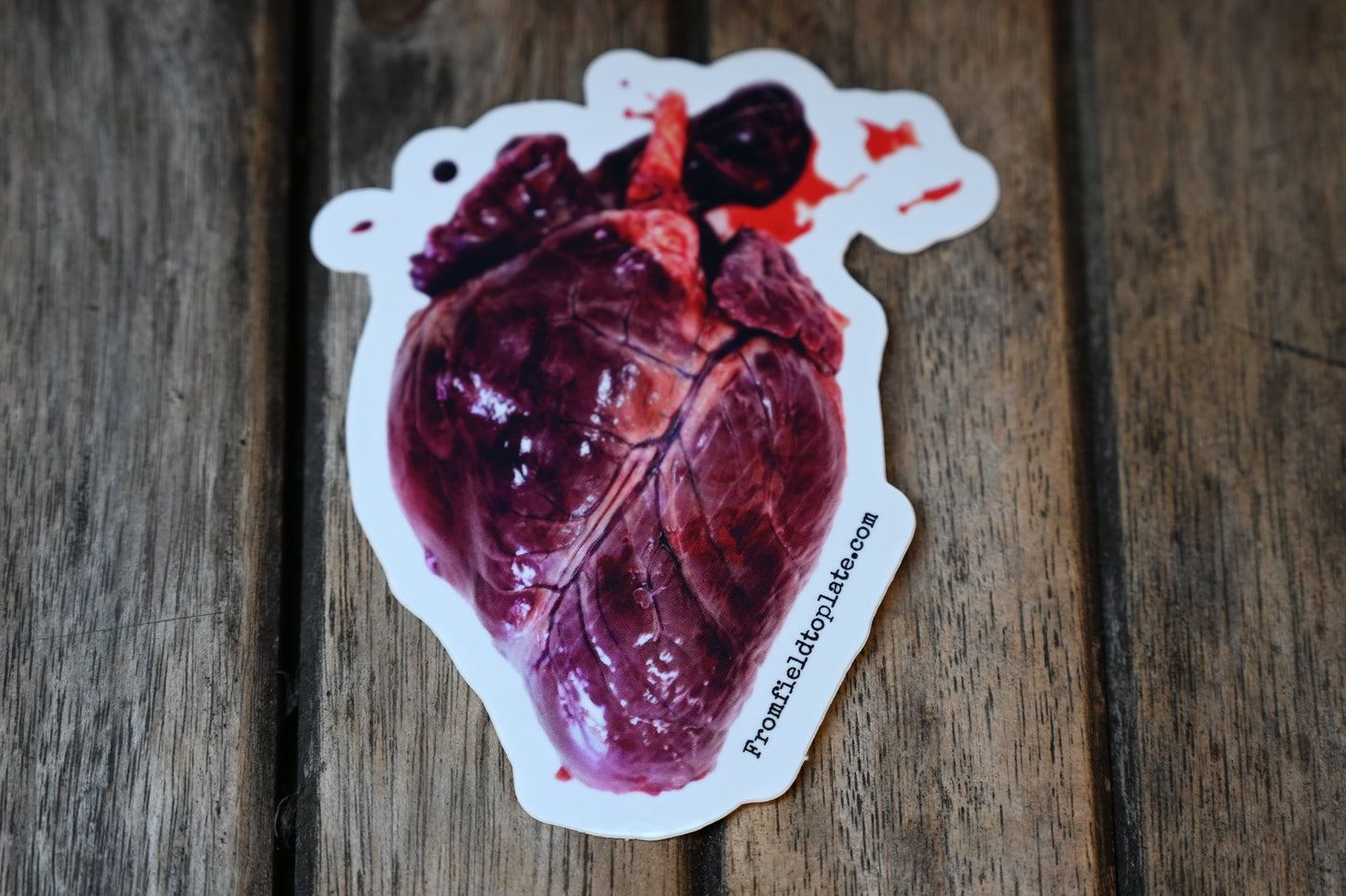 Deer Heart Sticker